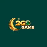 2GO Game Logo
